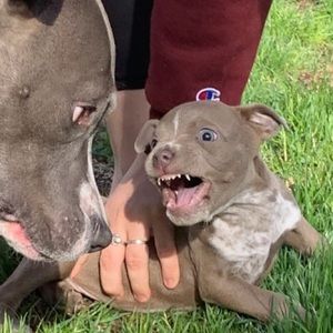 Meet your Posher, Conor